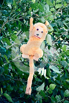 Picture of a toy monkey hanging on a tree branch