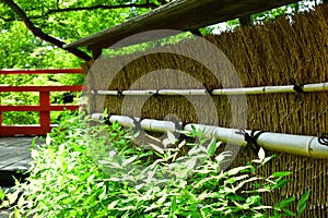 Japanese garden`s bamboo fence in spring, Kyoto Japan.