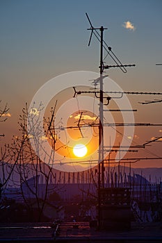 Picture of tree and tv antenna silhouettes on the roof during the sunset in Zagreb in Croatia