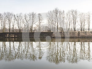 Picture of a trees and mirroring on the river.