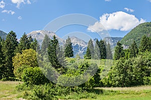 Picture of Triglav, Mali Draski, Tosc and Skrlatica mounts during a sunny afternoon.