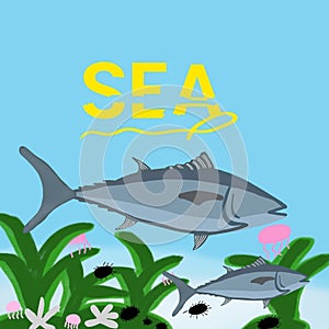 Picture of tuna in the sea accompanied by jellyfish and sea urchins