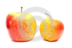 A picture of two ordinary apples, without modifications