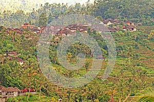 Picture of a typical Balinese village with rice terraces