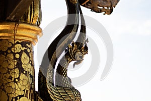 Picture view object Thai Dragon.