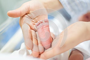 The picture was taken from newborn to obstetrics and gynecology photo