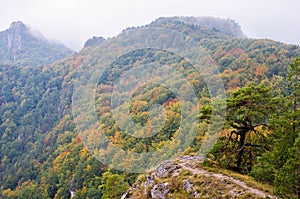 Hiking trail with stunning view to autumn woods, misty weather