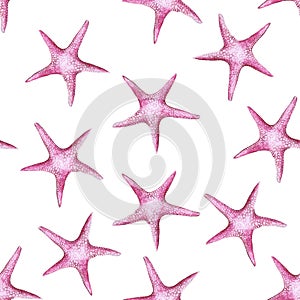 Picture of a watercolor pink color sea star class invertebrate type echinoderms