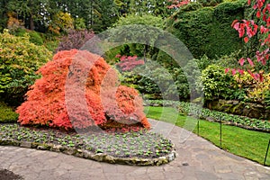 A picture of a well-tended garden and a pathway in autumn.   Victoria BC