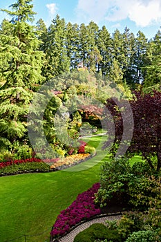 A picture of a well-tended garden.    Victoria BC