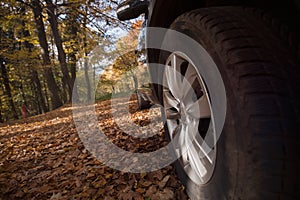 Picture of wheel of car parked in forest