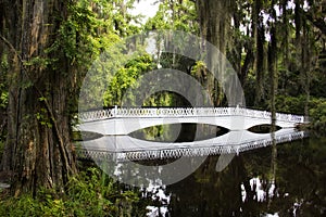 White bridge going over a swamp at the Magnolia plantation in Charleston South Carolina photo