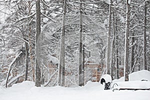 Picture of winter snowy Magadan city, Russia