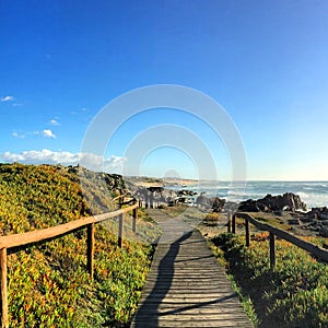 Picture of the wood boardwalk and the Atlantic ocean in San Paio photo