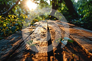 The picture of the wood table in the middle of the forest in a daytime. AIGX03.