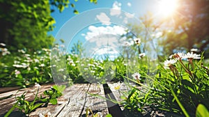 The picture of the wood table in the middle of the forest in a daytime. AIGX03.