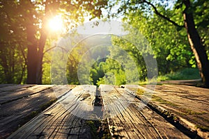 The picture of the wood table in the middle of the forest in a daytime. AIGX03.