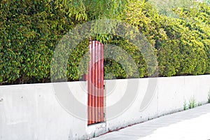 Picture of a wooden door painted with red color and red headge over stone basement. Contrast picture for landscape gardening