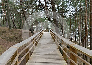 A wooden footbridge, pine forest, unspoken and cloudy winter day in nature