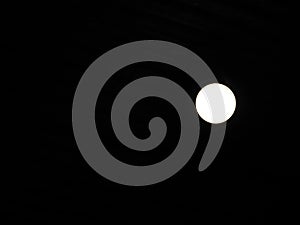 Picture of a yellowish white bulbng Bottom view photo