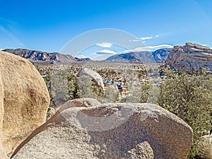 Picture of Yoshua Tree National Park with cactus trees in California during the day