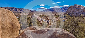 Picture of Yoshua Tree National Park with cactus trees in California during the day