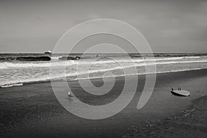 Picture of young surfers having fun very early in the morning in the waves of el porto beach near Los Angeles