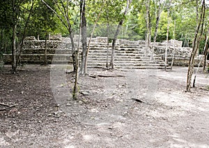Ruins in the COBA Zona Arqueologica photo