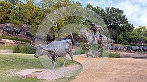 Bronze cowboy on horseback with steers in the background in the Pioneer Plaza, Dallas, Texas.
