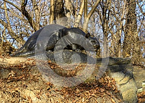 `Still Hunt` by Edward Kemeys situated on a rock beside Central Park`s East Drive, New York City