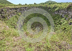 One of a pair of volcanic sinkholes called Los Gemelos on the island of Santa Cruz. photo