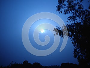 Pictured by pandey 4