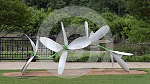 `Sweet Autumn Vine`, a steel sculpture by Laura Walters Abrams located in Watercrest Park, Dallas, Texas photo