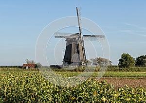 Windmill photographed from outside the Schermerhorn Museum Mill, Stompetoren, Netherlands