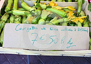 Zucchini on sale in the Cours Saleya Market in the old town of Nice, France photo