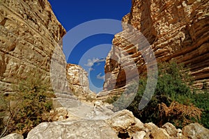 Pictureque Ein Avdat gorge in Israel