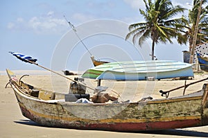 Pictures of Brazil. The People and the brazilian lands.