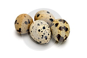 Pictures of quail eggs in on white background