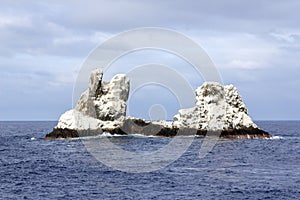 Roca Partida, Isla Revillagigedos, Mexico photo