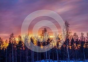 Pictures of a sunset over a forest near the Finnish town of Rauma