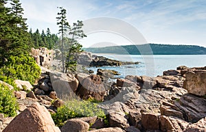 Picturesque Acadia National Park Shoreline