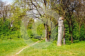 Picturesque alley with a walking trail surrounded by old trees