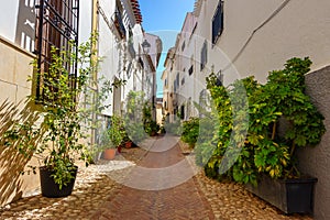Picturesque alley with whitewashed houses and potted plants all over the street, Velez Rubio, Almeria. photo