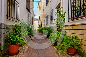 Picturesque alley with whitewashed houses and potted plants all over the street, Velez Rubio, Almeria photo