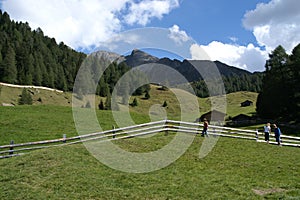 Picturesque Alpine landscape