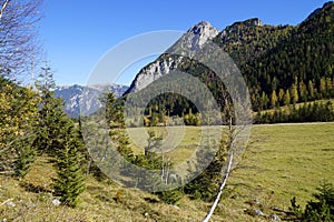 picturesque alpine landscape with pine trees and blue sky in Gramai Alm in Austria on sunny day in October