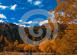 Picturesque Arrowtown during autumn, New Zealand