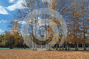 The picturesque autumn forest along the river against a bright blue sky