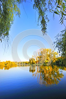 Picturesque autumn landscape