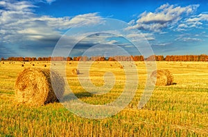 Picturesque autumn landscape with beveled field and straw bales.